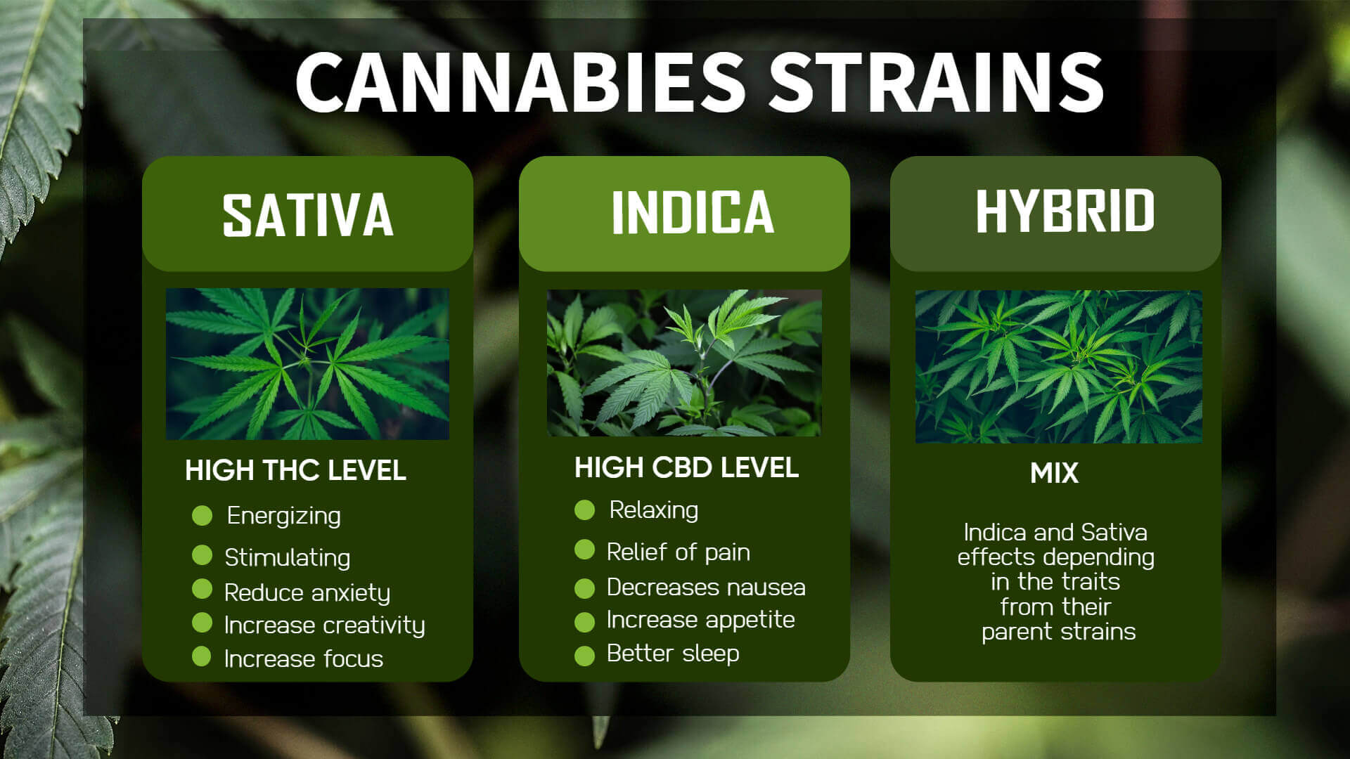 cannabis menu boards template