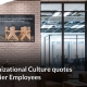 display company culture quote on corporate tv screen