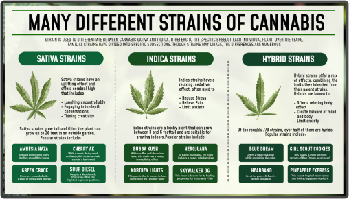 canabis-menu-board-4